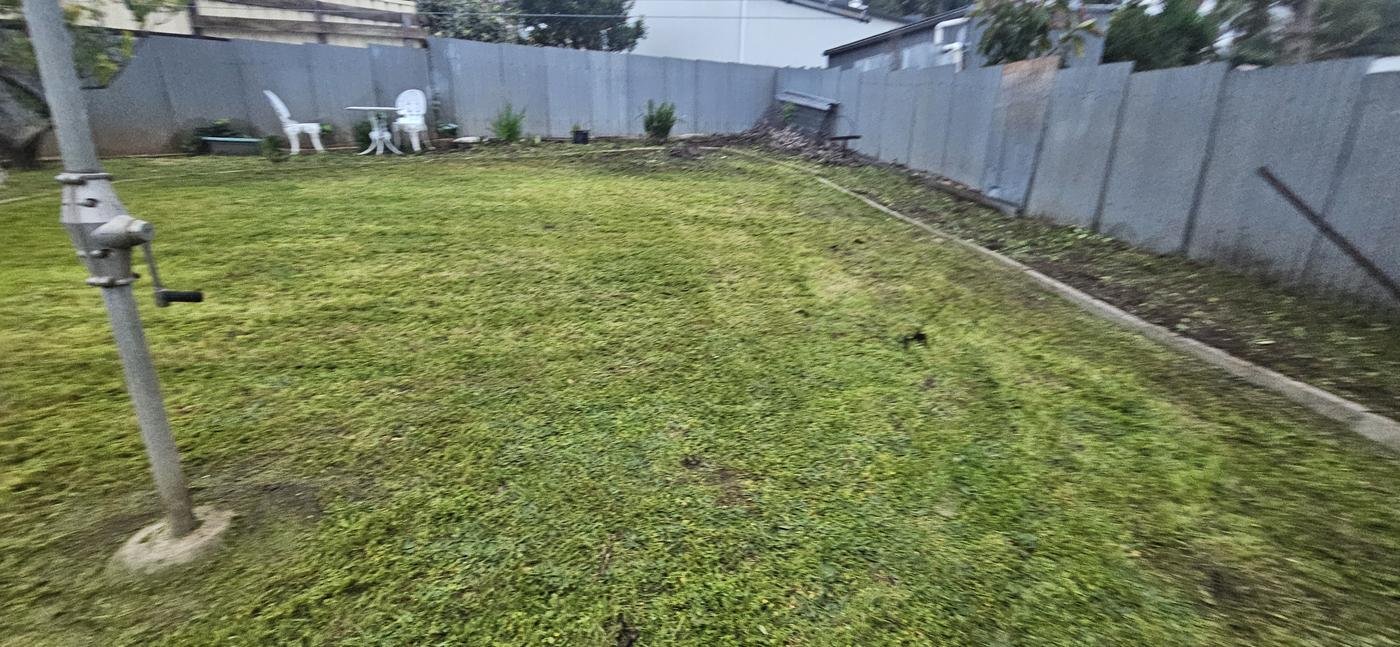 After: backyard lawn mowed flat and tidy
