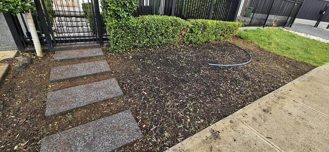 After: front entry bed cleared with trimmed hedge and exposed stepping stones