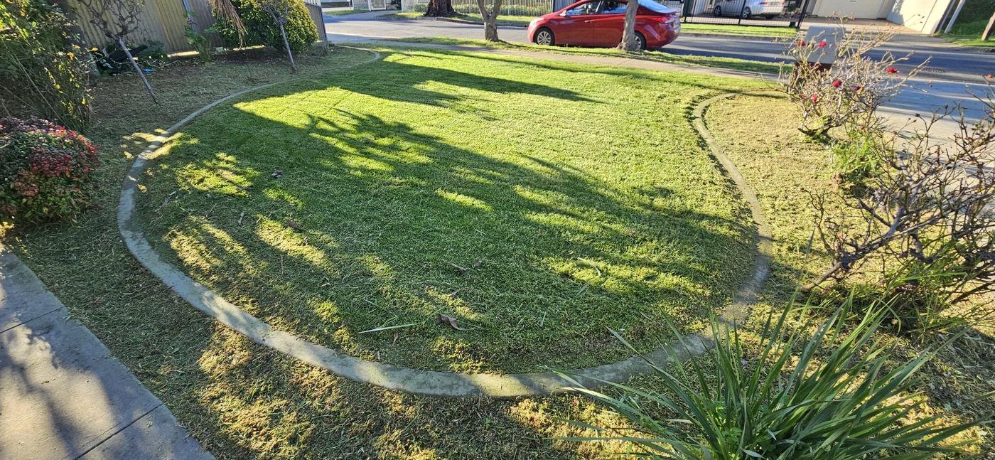 After: front lawn mowed and edged with a clean curved border