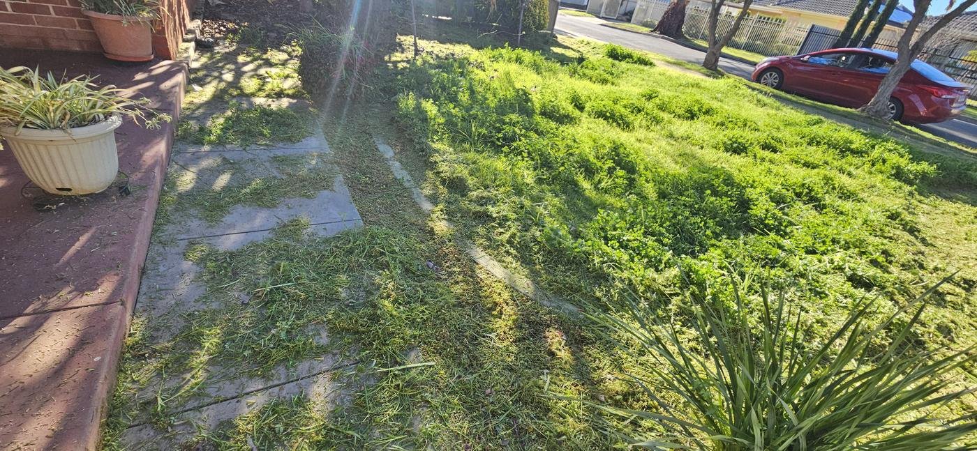 Before: overgrown front lawn with long grass
