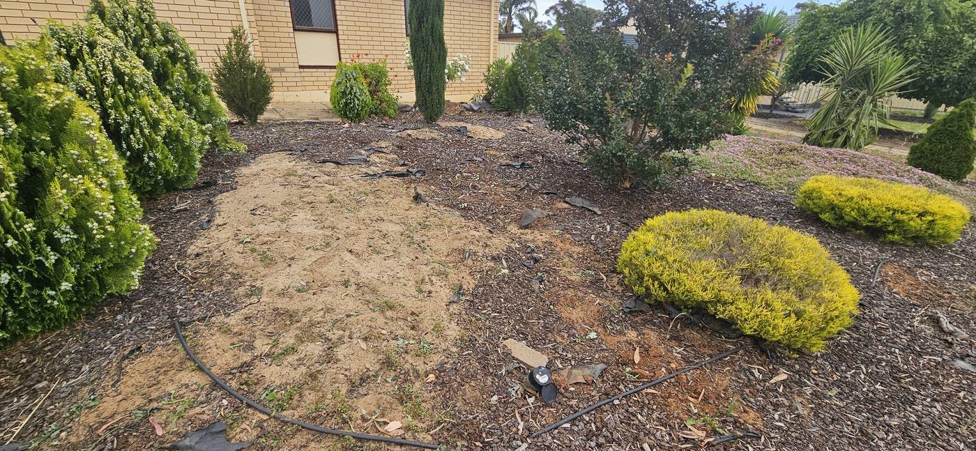 Garden bed cleaned up with shaped shrubs and fresh mulch in north-east Adelaide