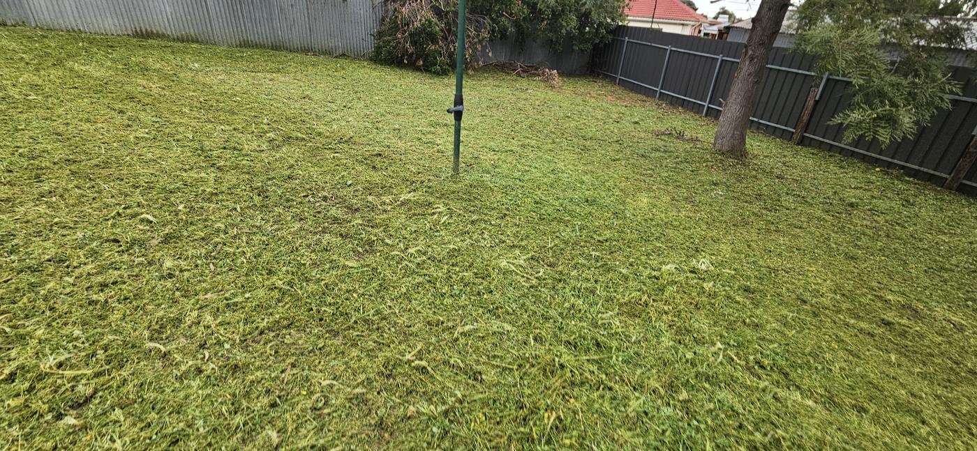 After: large backyard fully mowed and cleaned up