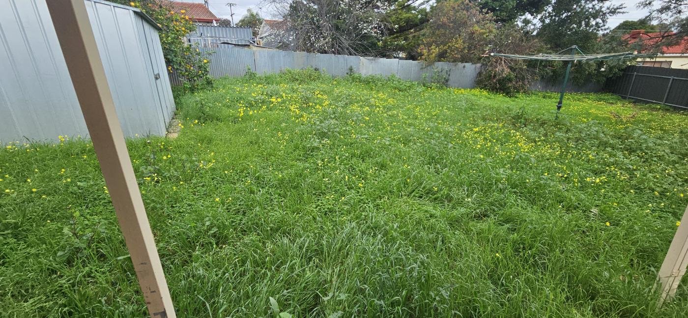 Before: large backyard completely overgrown with weeds and long grass