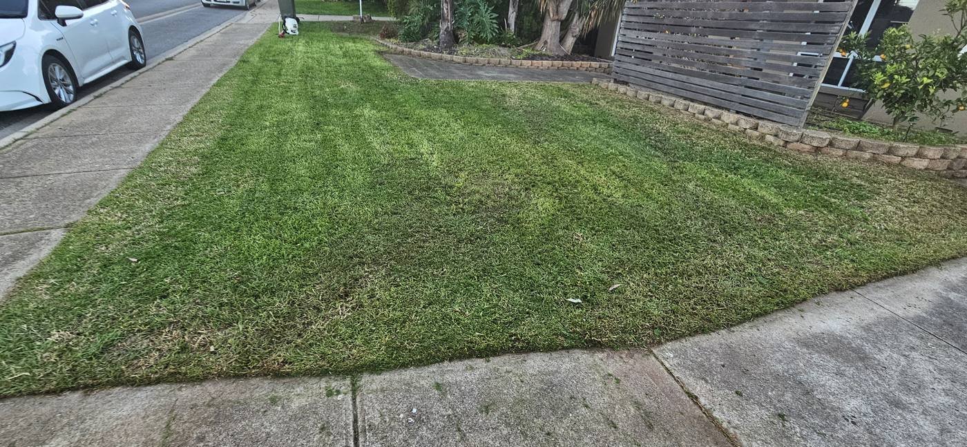 After: freshly mowed front yard lawn with clean edges