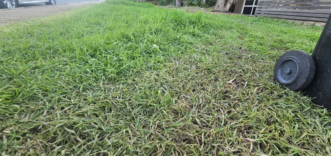Freshly mowed lawn with mower on site