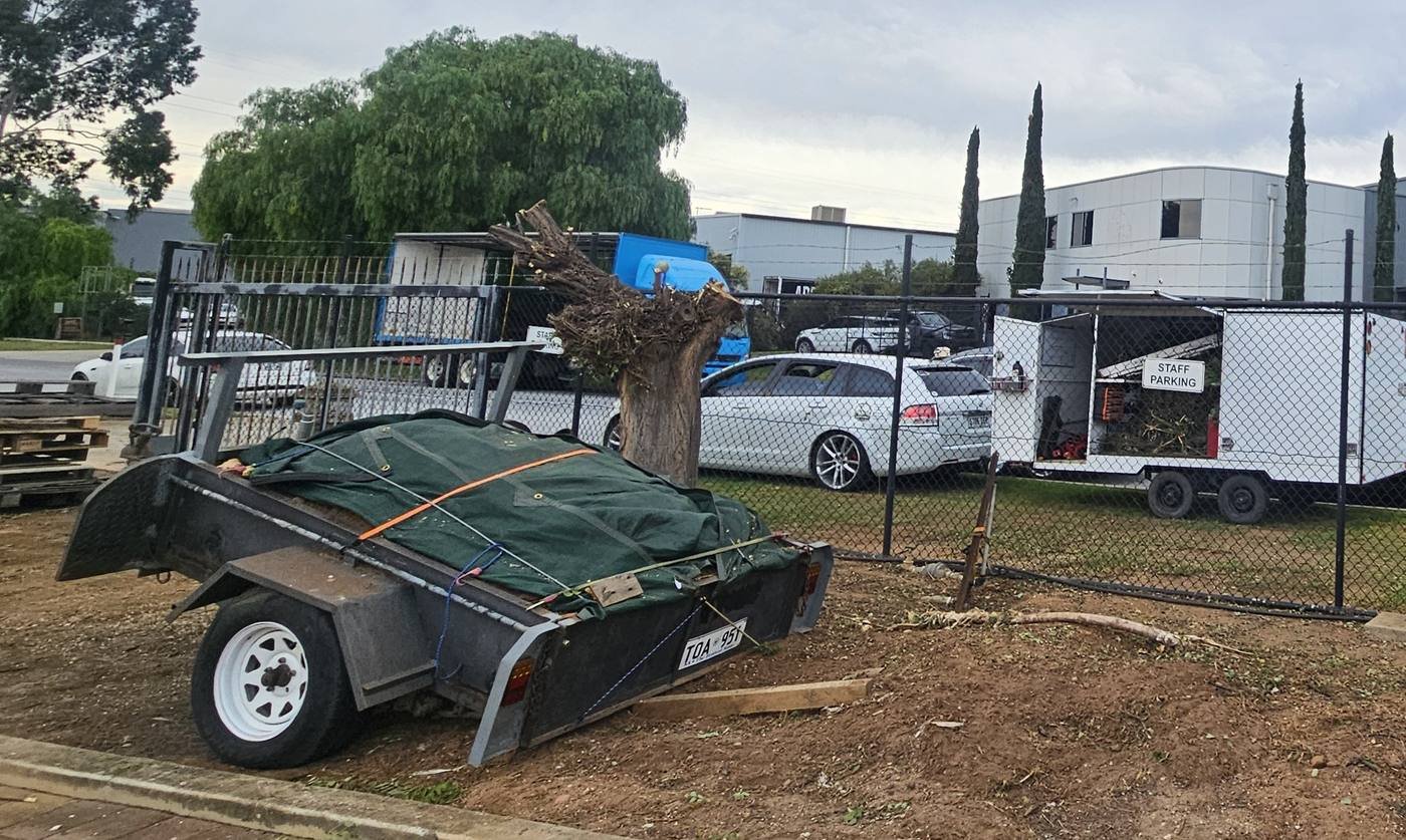 Tree stump loaded on trailer for removal