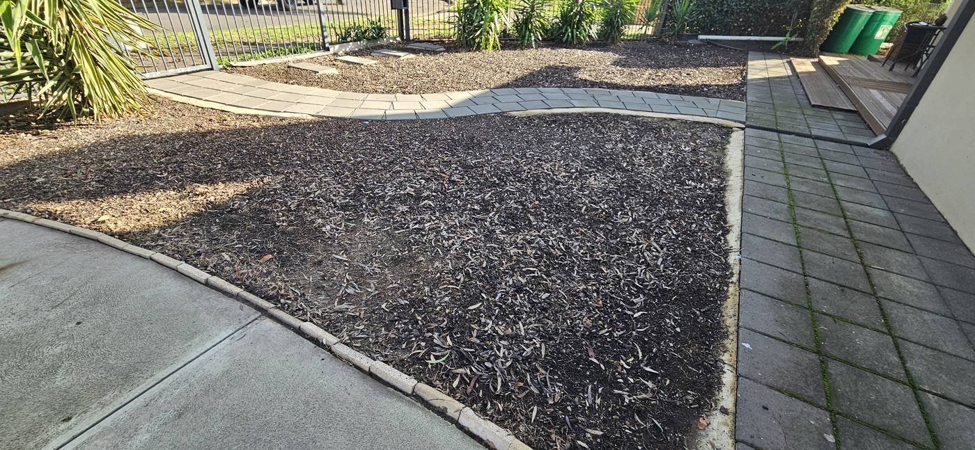 Front yard after weed removal and tidy up