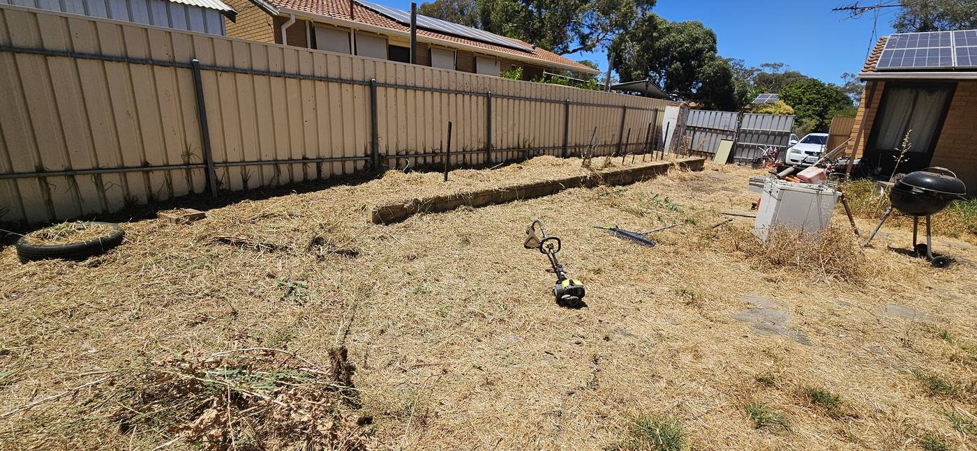 Backyard after full clean up and whipper snip